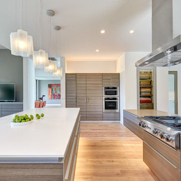 El Dorado Hills Modern Art Home