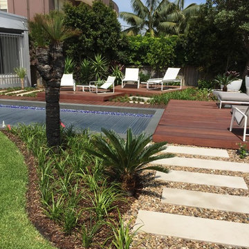 Dover Heights Decking, Sandstone Pavers and Gardens