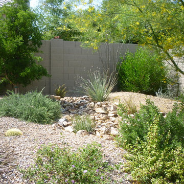 Plantings - 1.5 Years