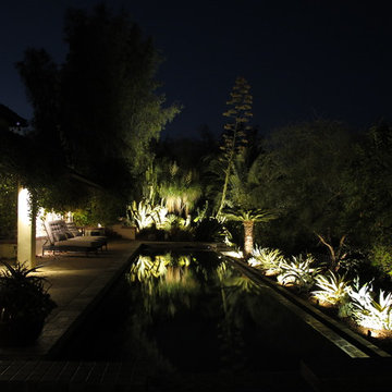 Backyard Pool Landscape Lighting