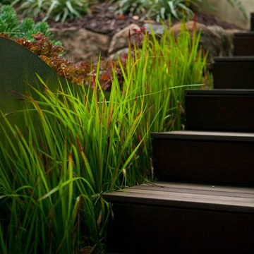 Custom Landscape Design