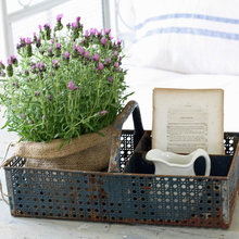 8 geniale grønne planter, der renser luften i dit hjem