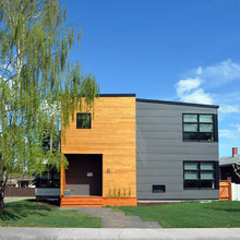 Exterior Elderberry