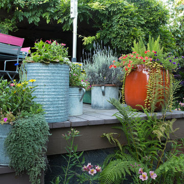 My Houzz: Colorful Garden Oasis in Marin County