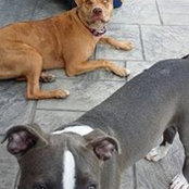 Reg Regiani's photo
