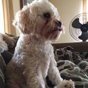 Terry DuVall's photo