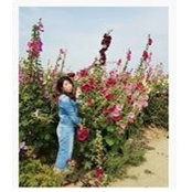 Winnie Lee's photo