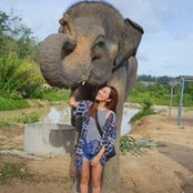 Faye Choi's photo