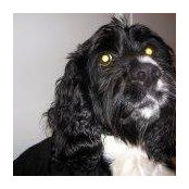 Pat Monti's photo