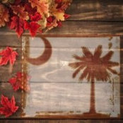 Amy Holliday's photo