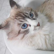 Irmo Micio's photo