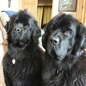 Bonnie Mack's photo