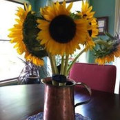 Jane Fallon's photo