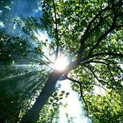 Сергей Шляхов's photo