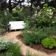 Backyard 704