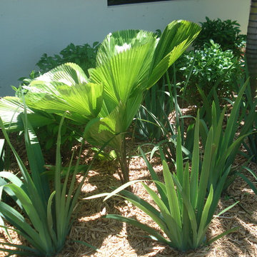 Boca Raton, FL Residential Landscape 1
