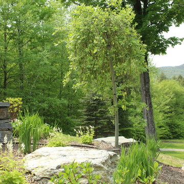 Re-purposed plantings with erosion control boulders