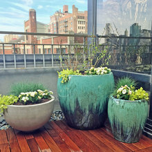 roofdeck