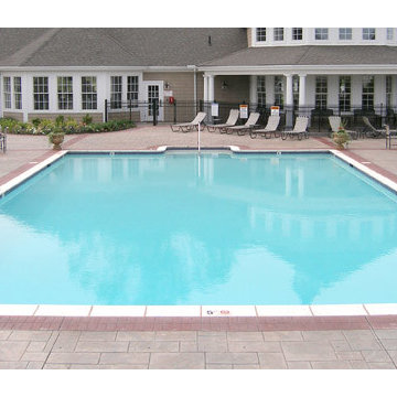 Custom Backyard Pool Portfolio