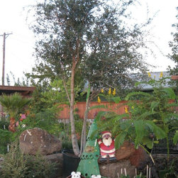 Fall Auction - Outdoor Products