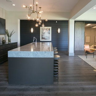 Foto de sótano con puerta moderno, extra grande, sin chimenea, con paredes beige y suelo de madera oscura