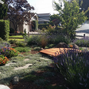 Low-Water Landscape Rebate Garden Design Featuring Lavender, San Jose, CA