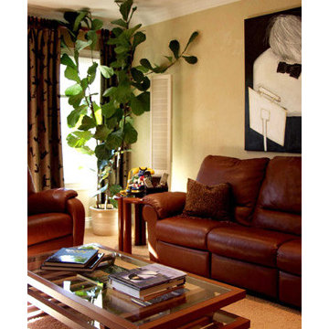 Los Gatos Contempory Interior Design