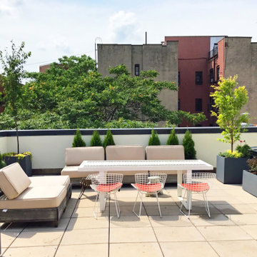 Harlem Roof Garden Pergola