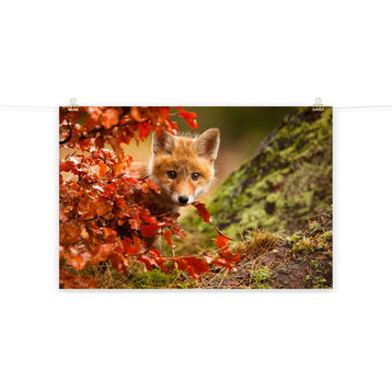 Baby Red Fox Face and Autumn Leaves Animal Wildlife Photo Loose Wall Art Print, 18" X 24"