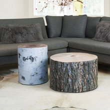 family-room