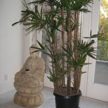 Outdoor Hand Carved Statuary