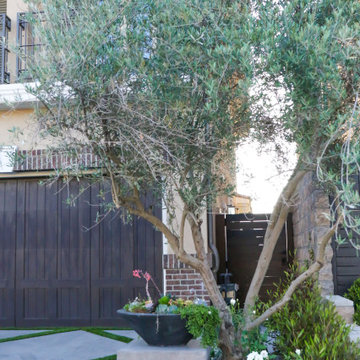 Heritage Oak