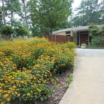 Mid Century Modern Residence
