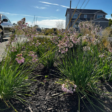 Sandy Point- Mitigation Project