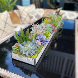 Faux Succulents Displays - Barn renovation - Plants
