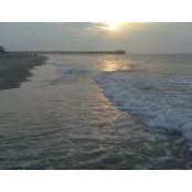 Brooke Quentrill's photo
