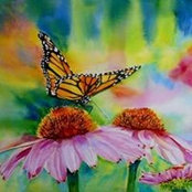 Maria Balcells's photo