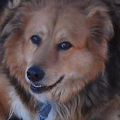 Aronna Schwegal's photo