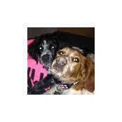 Bekah Richardson's photo