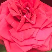 Jacqui Ford's photo