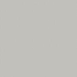 Benjamin Moore Smoke Embers 1466 - Paint