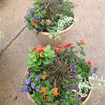 Container Gardens