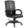 Ski Cross Country Home Office Chair