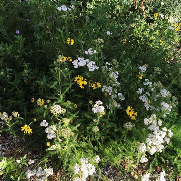2018 Native Plant Garden Tour