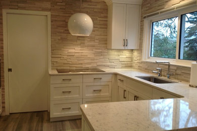 This is an example of a contemporary kitchen in Detroit.