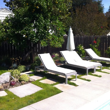 Back yard dry tolerant landscape. garage conversion