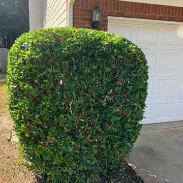 Landscape and Outdoor Property Improvement