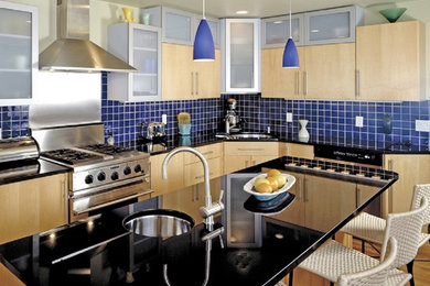 Kitchen - contemporary kitchen idea in Tampa