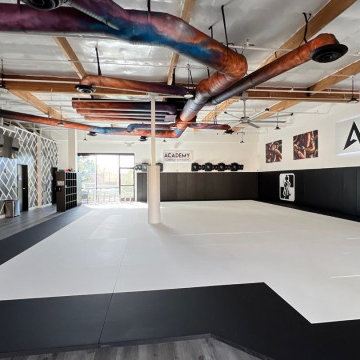 Jujitsu Academy Tenant Improvement