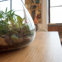 Terrariums